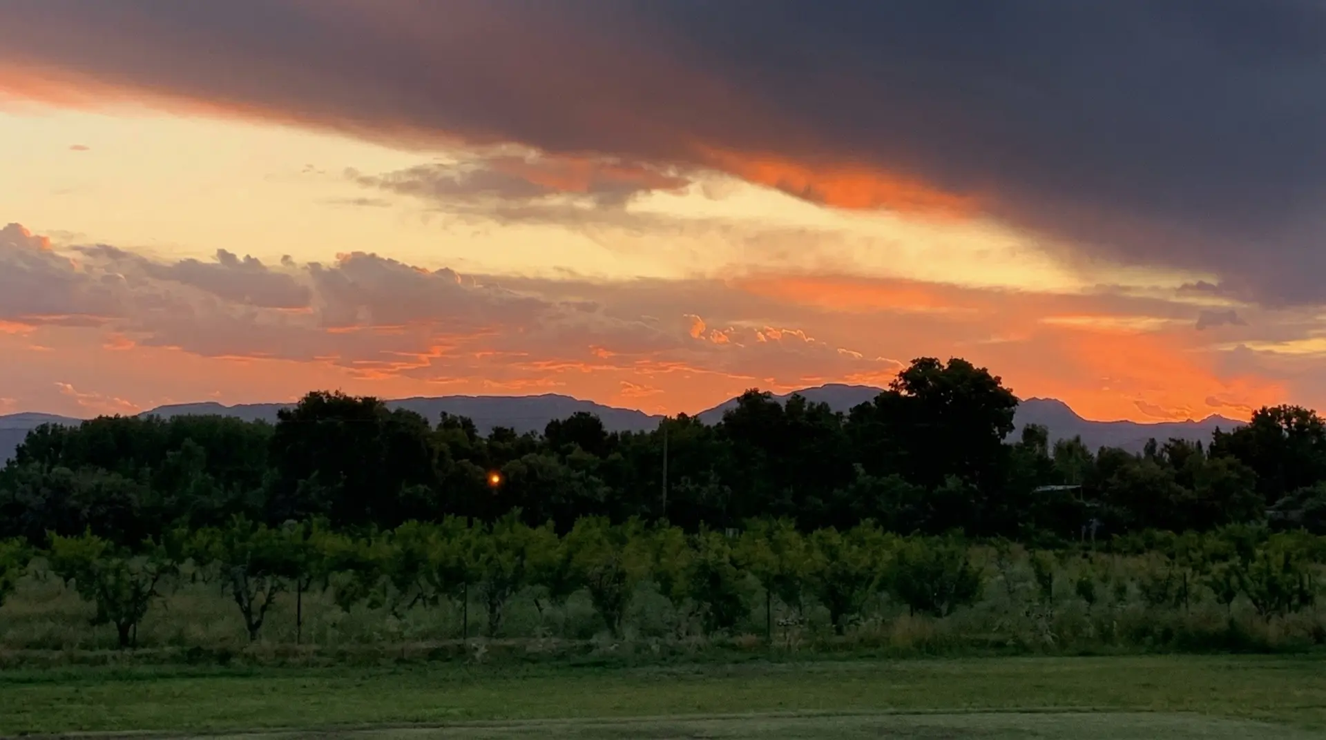 Pileta y solárium al atardecer